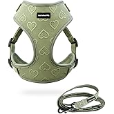No-Pull Dog Harness & Leash Set – Cute Unique Heart Pattern, Lightweight Breathable Neoprene, Adjustable Buckle – Available Sizes from XXS - L (Harness Leash Set-Green, X-Small)