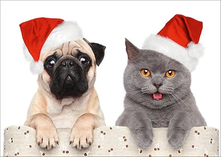 10 Cartoline Di Natale Divertenti Con Cane E Gatto Di Edition Colibri Amazon It Cancelleria E Prodotti Per Ufficio