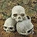 Hewnda Aquarium Decor Resin Artificial Head Skeleton Decoration – Aquarium Otaru Aquarium Decorative Cave Landscape Pet Reptile Housethumb 4