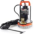 BACOENG 12V DC Farm & Ranch Solar Water Pump Submersible Well Pump 20FT Lift