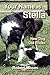 Your Name is Stella by 