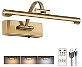 Tassuowell Rechargeable Picture Light with Remote