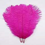LONDGEN 5pcs Ostrich Feathers