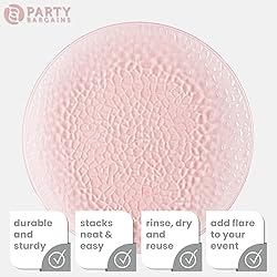 PARTY BARGAINS 13-Inch Charger Plates - 48
