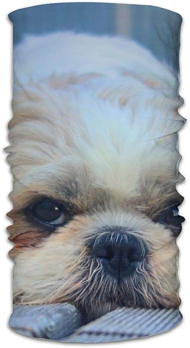 shih tzu bandana