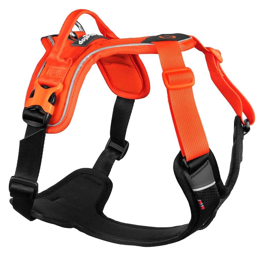 Non-Stop Dogwear Ramble Harness, Black/Orange - XS