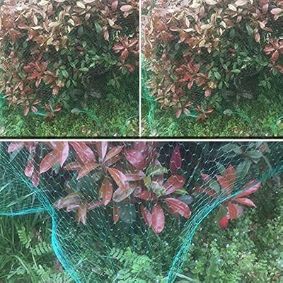 JIAYUAN - Malla de Tela Resistente para Cultivo de Flores de ...