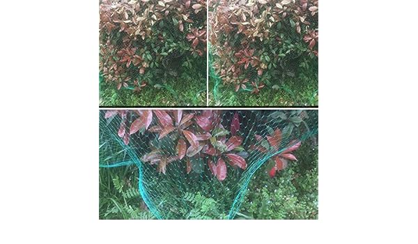 JIAYUAN - Malla de Tela Resistente para Cultivo de Flores de ...