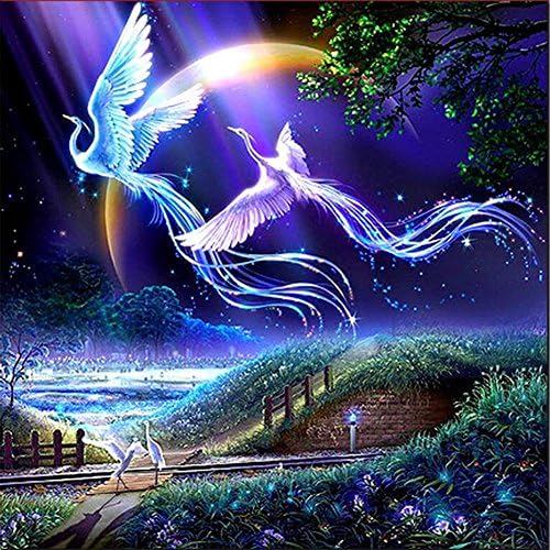 Diamond Painting Full Square 5D DIY Drill two Phoenix Birds Fly Sky Rhinestone Embroidery Arts Craft Adults' Children's Paint-By-Number Kits cross stitch for Home Decoration 12X12 inches (Phoenix)