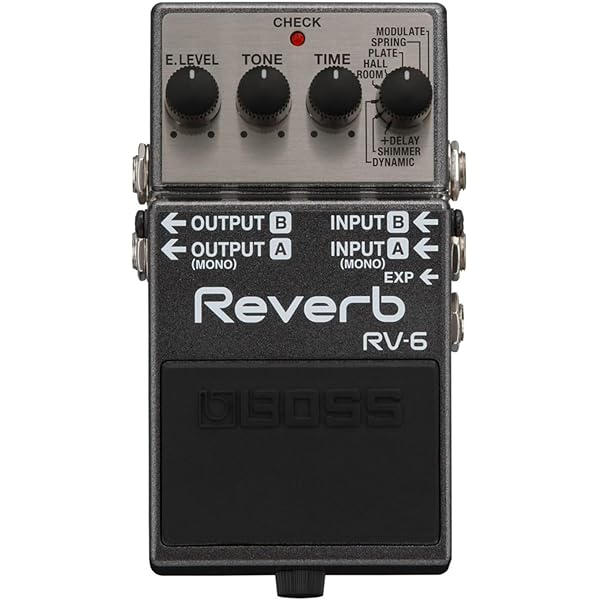 Amazon.com: BOSS RE-2 Space Echo | Tape Echo Delay Reverb Effects