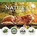 Natural Organic Hemp Oil for Dogs: Full Spectrum 250 mg Hemp Seed Extract with Coconut Oil - Anti Stress & Anxiety - Hip & Joint Pain Relief - Unflavored Formula for Any Size Dog - 1 fl. oz. Bottle