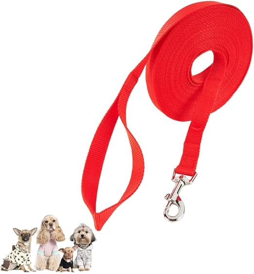 recall dog lead