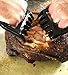 Dragon Knuckle Pulled Pork BBQ Claws - Meat Forks for Smoked Pork Butts and Shoulders - BPA Free - Meat Shredder - Gas Grill, Smoker and Barbecue Accessories - Great Gift