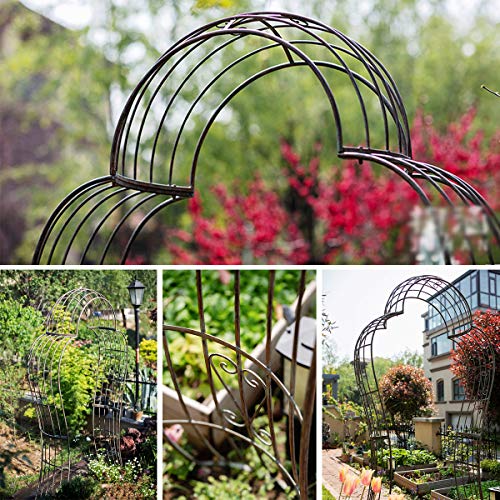 CJSWT Rosenbogen, Garten Rankhilfe Kletterpflanzen, Torbogen Metall, wetterfest, Indoor/Outdoor, Toll für Hinterhof… – Bild 5