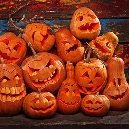 Halloween Haunters Ultimate 14 Piece Professional Pumpkin Carving Tool