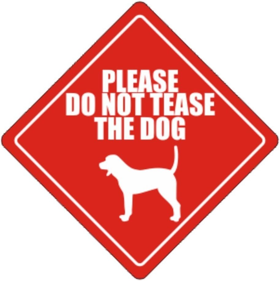 Please do not tease the dog Bluetick Coonhound Dogs