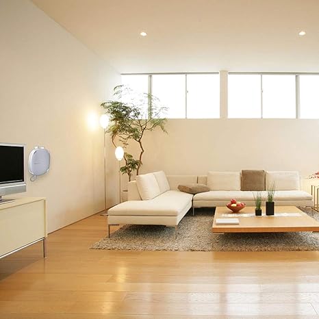 Holaca Soporte De Pared Para Samsung Smartthings Hub Soporte De