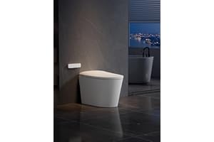 Bazyths Smart Toilet with Bidet Auto Open/Close Foot Touch Flush Dryer Heated Seat Dual Flushes Elongated One-Piece Design (ZYR1)