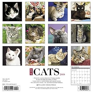 Just Cats 2018 Calendar