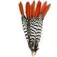 Sowder 10pcs Red Lady Amherst Pheasant Plumage Feathers 8-10 Inches for Home Wedding Decoration