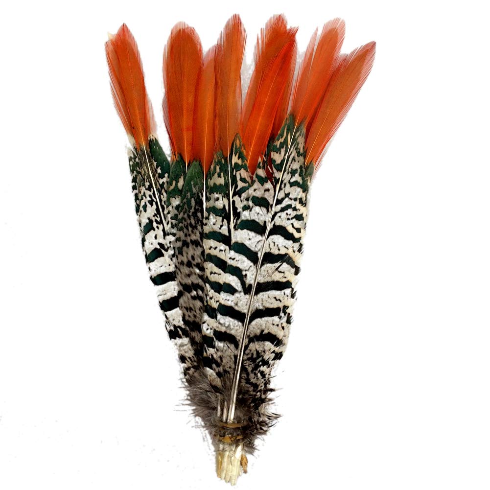 Sowder 10pcs Red Lady Amherst Pheasant Plumage Feathers 8-10 Inches for Home Wedding Decoration