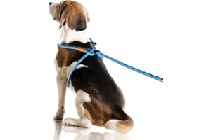 Lynxking No Pull Rope Dog Harness No Pull Reflective Leash Harness Collar 3 in 1 Dog Halter Harnesses Adjustable for Large Giant Dog (Light Blue, Large 1/2 inch)