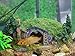 COOSPIDER Hobbit Miniature Landscape Hillside Fairy Hole House Manor Decor Ideas for Aquariums Reptile Box Shelter Ornament 11