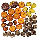 besttoyhome Miniature Artificial Pumpkins and Gourds Pine Cones Acorn Rustic Decoration Crafts for Fall Crafts - Faux - Dollhouse - Halloween & Thanksgiving Decor - Bowl Fillers - Assorted