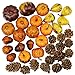 besttoyhome Miniature Artificial Pumpkins and Gourds Pine Cones Acorn Rustic Decoration Crafts for Fall Crafts - Faux - Dollhouse - Halloween & Thanksgiving Decor - Bowl Fillers - Assorted