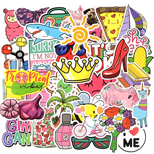 QTL VSCO Stickers for Hydroflask Cute Stickers for Water Bottles Laptop Stickers for Girls Teens