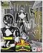 TAMASHII NATIONS Bandai S.H. Figuarts Mighty Morphin Black Ranger Action Figure