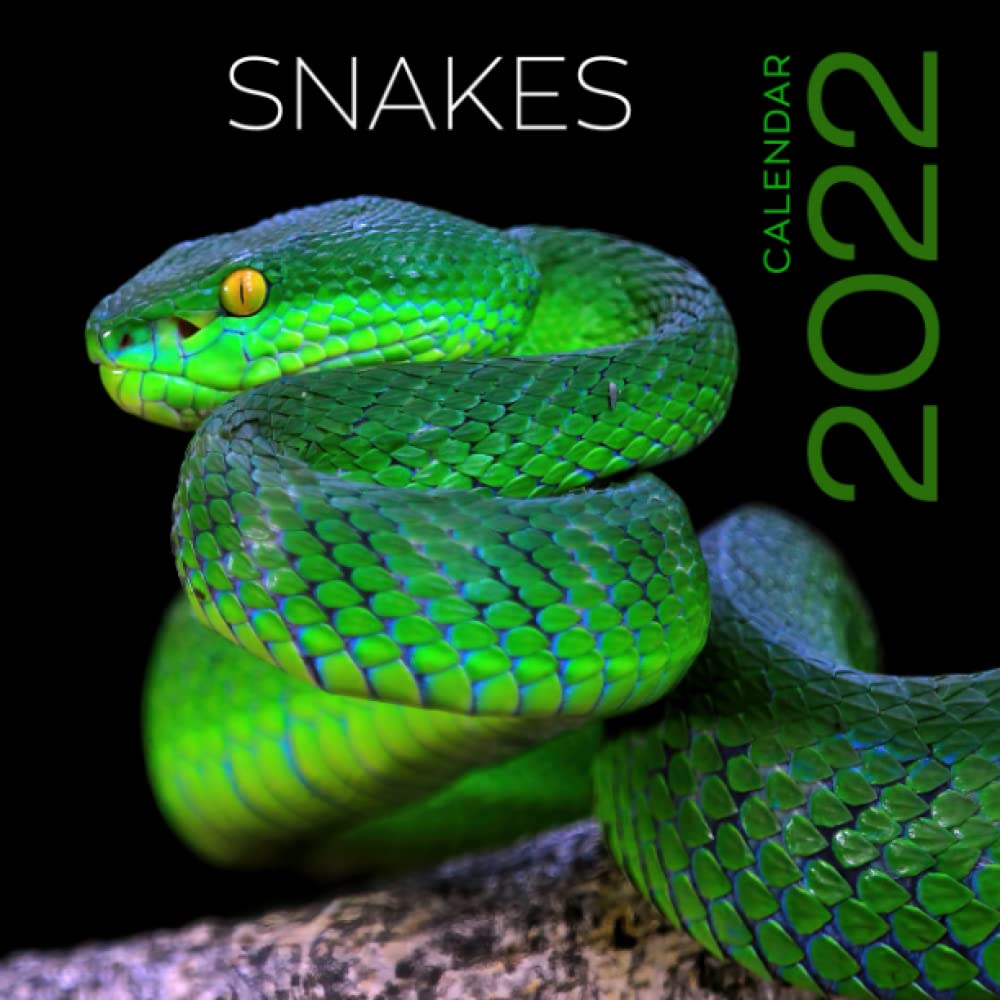 Snakes Calendar 2022: Original Snake Calendar 🐍: Snakes Calendar Editions: 9798778801172: Amazon.com: Books