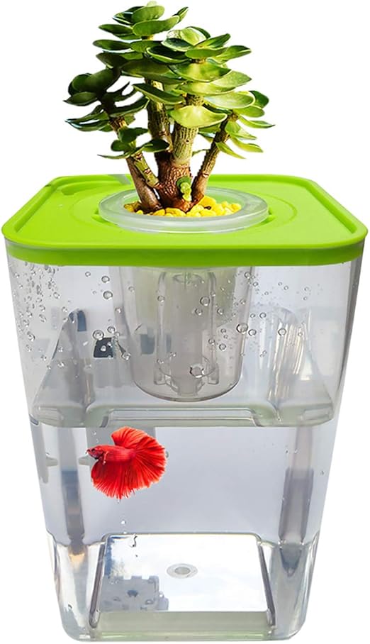 fish tank planter
