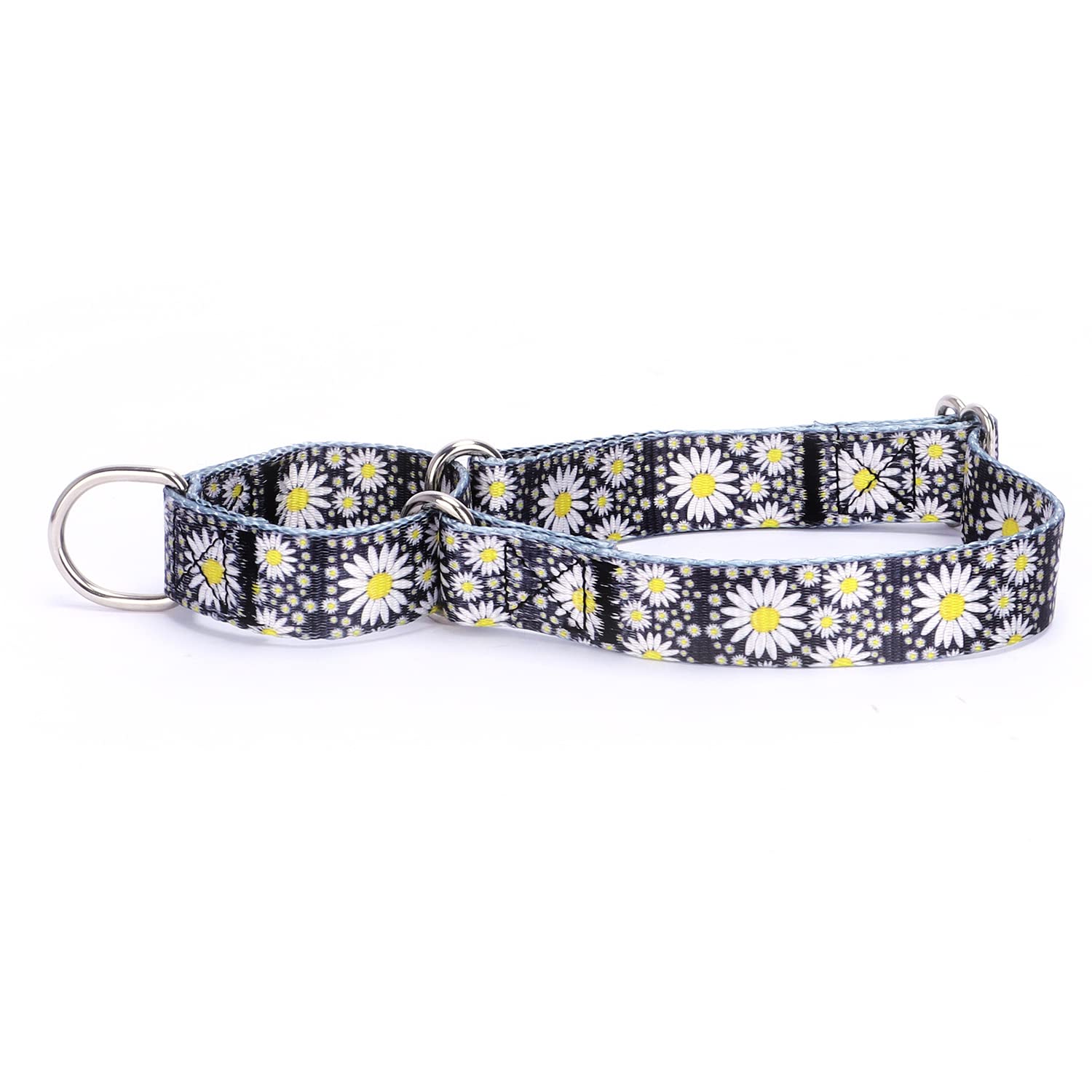 haoyueer Heavy Duty Nylon Adjustable Martingale Dog Collar for Walking Training Boy and Girl Dogs (L:45-53CM, Little Daisy) — image 1