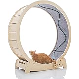 Star Cat Wheel, Cat Treadmill, Exercise Wheel for Running, Spinning, Scratching, and Climbing for Indoor Cats, Premium Birch 