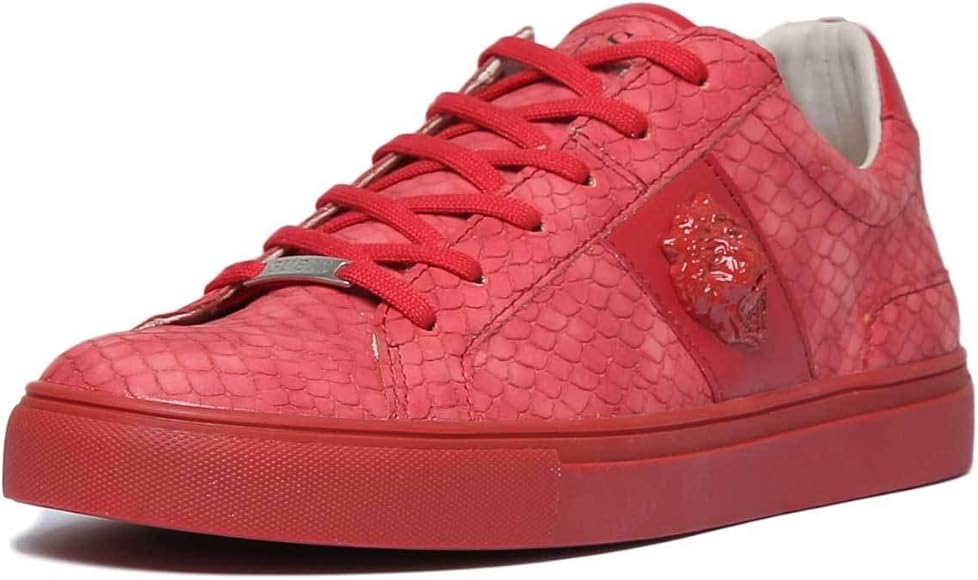 velocita racing shoes