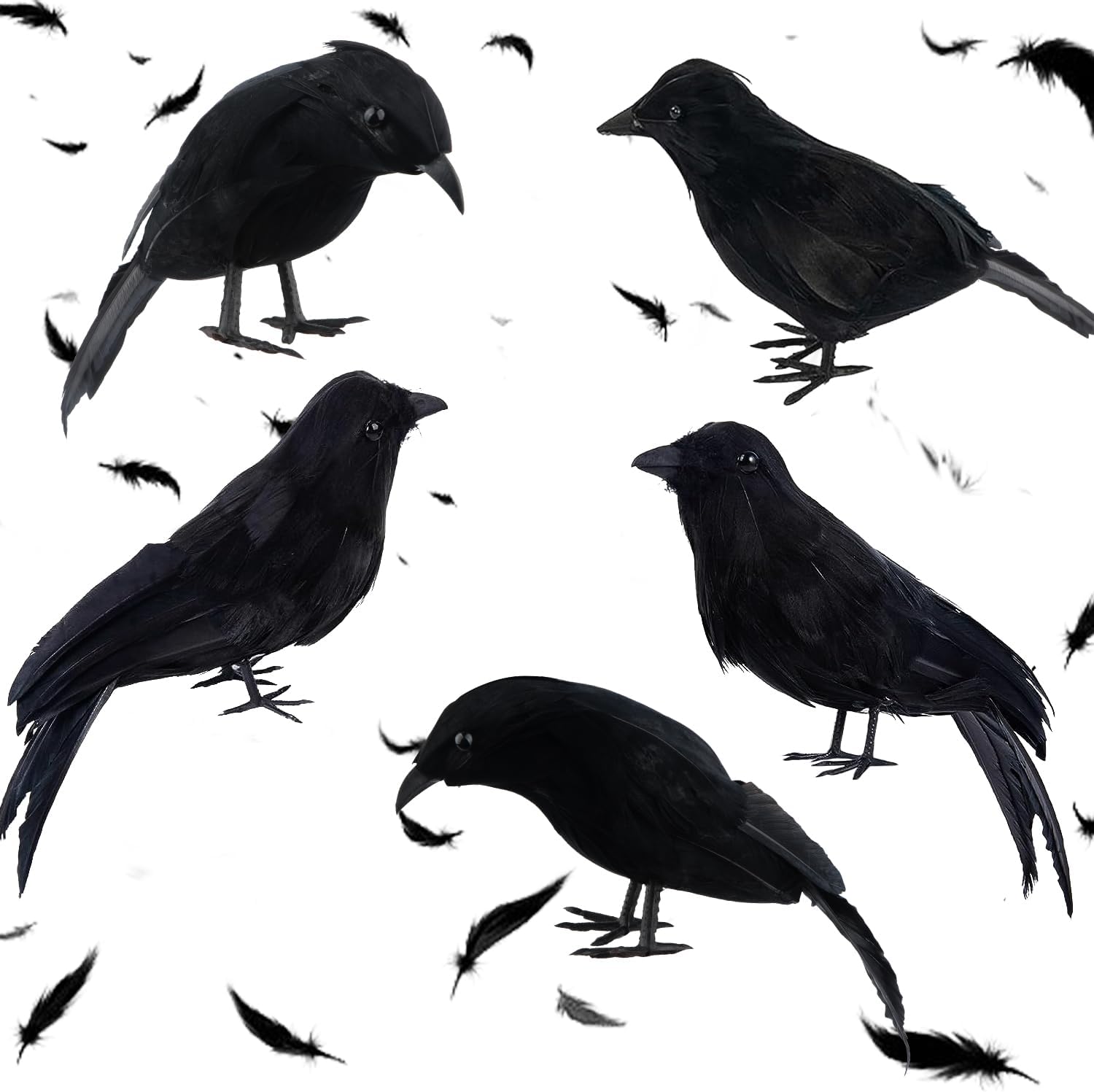 Holiday Décor Storage - 5 Pack Halloween Black Feathered Crows Decor, Lifelike Raven Halloween Decor Black Feathered Crows Halloween Birds with Real Feather Ravens for Halloween Party Outdoor Indoor Yard Garden Decor