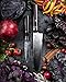 Kutt Japanese Damascus Knife Set, Contains Razor Sharp, Easy to Use and Rust Free 8 Inch Chef Knife and 4 Inch Pairing Knife, VG-10 Stainless Steel, German Design
