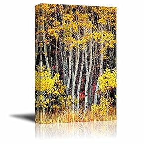 Canvas Prints Wall Art - Detail of Several Aspen Birch Trees with Golden Yellow Leaves - 12" x 18"