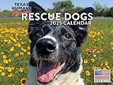 Rescue Dog Calendar 2025 Wall Monthly Calander