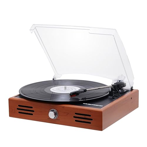 Top 10 Best Turntables Under $100 To 
