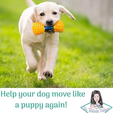 arnica safe for dogs