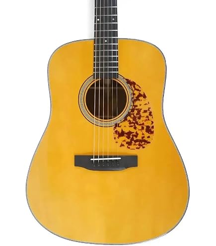 Amazon.com: Blueridge BR-140 Historic Series Dreadnought Acoustic