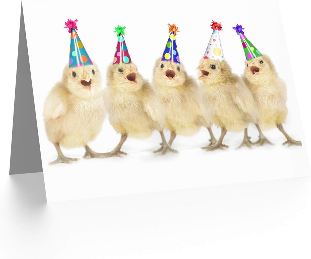Wee Blue Coo HAPPY BIRTHDAY PARTY CHICKS BLANK GREETINGS CARD ART, 12.5 x 17.5 cm - Image 3
