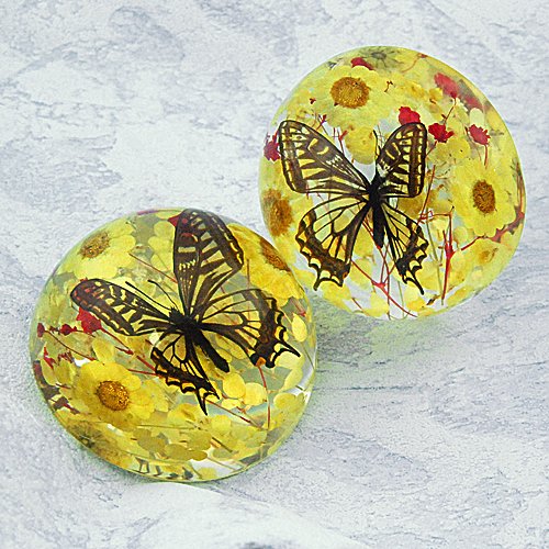 Butterfly half dome paperweight (4" x 4" x 2")