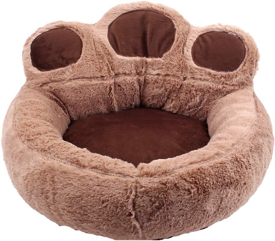 teddy dog bed