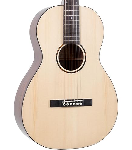 Amazon.com: Recording King RO-G6 Solid Top 000 Guitar : Musical