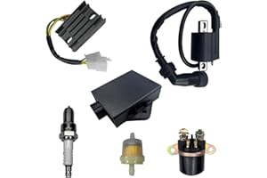 QINLANAP Ignition Coil CDI Box Fit for Arctic Cat 300 2X4 4X4 1998-2005, for Arctic Cat 250 2X4 4X4 1999-2005 Replace No.3530-013 with Starter Solenoid Relay Voltage Regulator Rectifier Fuel Filter Spark Plug