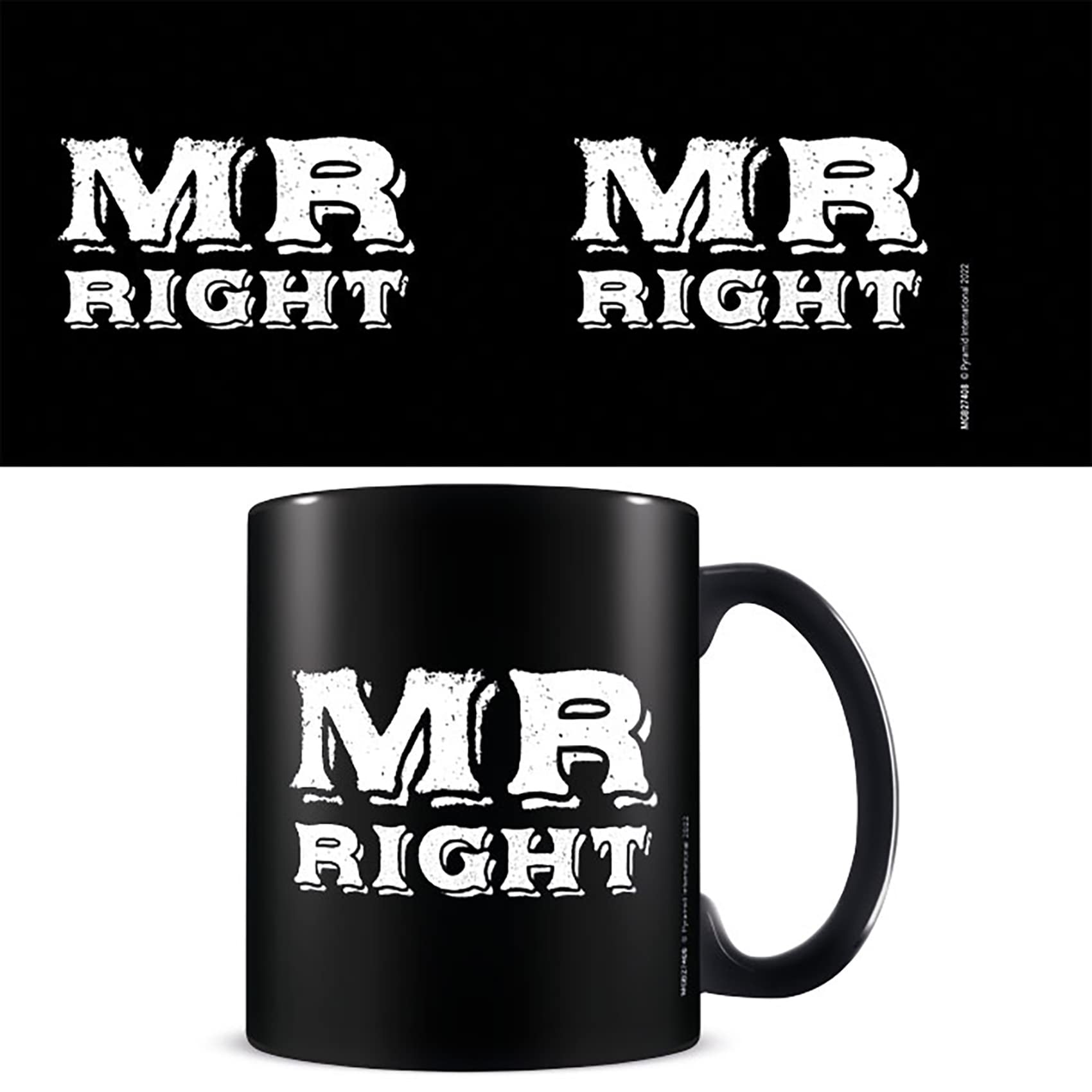 Pyramid International Novelty Mug in Presentation Gift Box ('Mr Right' Design) 11oz Ceramic Mug - Official Merchandise