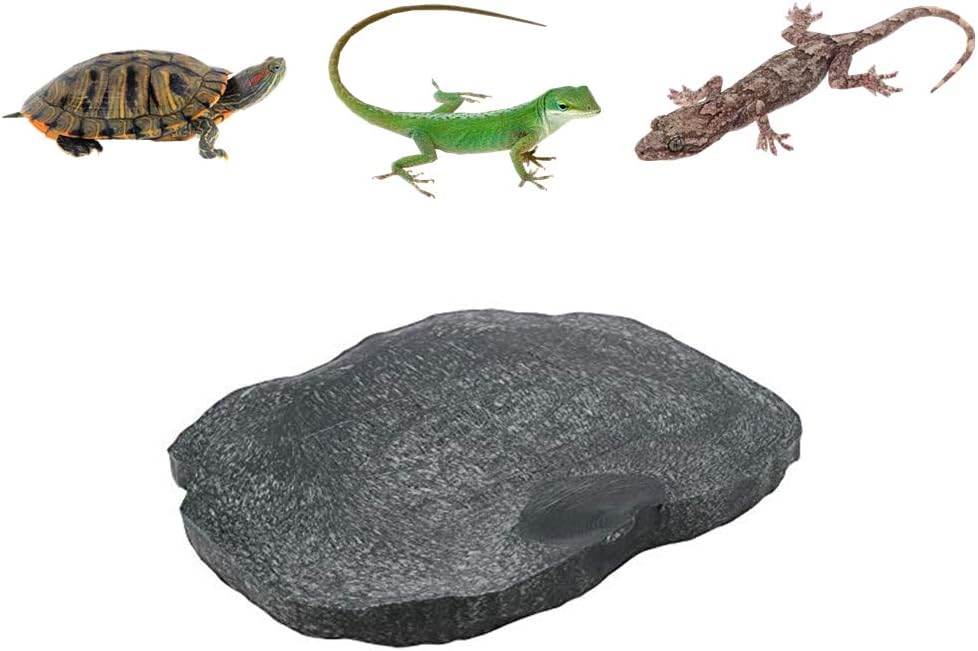 Reptile Rock Food Water Dish Food Bowl Worm Feeder Pet Feeder Dish for Tortoise Lizard Gecko Scorpion chameleons (M-Green)